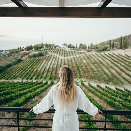 Gillham Vineyard Hotel Templos 외부 사진