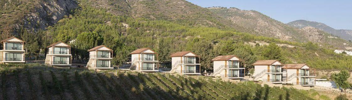 Gillham Vineyard Hotel Templos 외부 사진