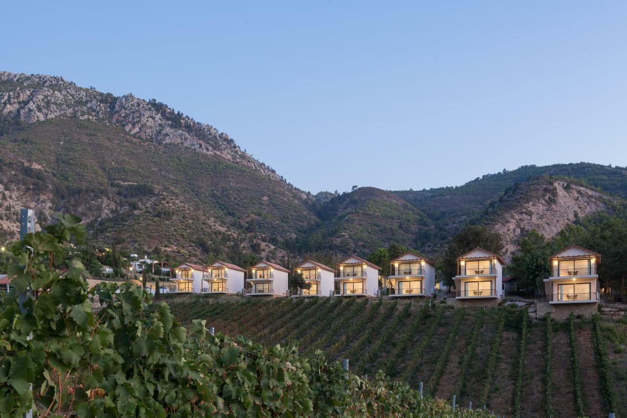 Gillham Vineyard Hotel Templos 외부 사진