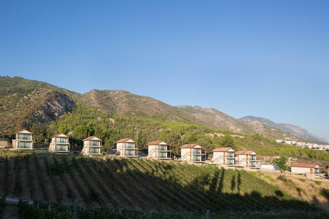 Gillham Vineyard Hotel Templos 외부 사진