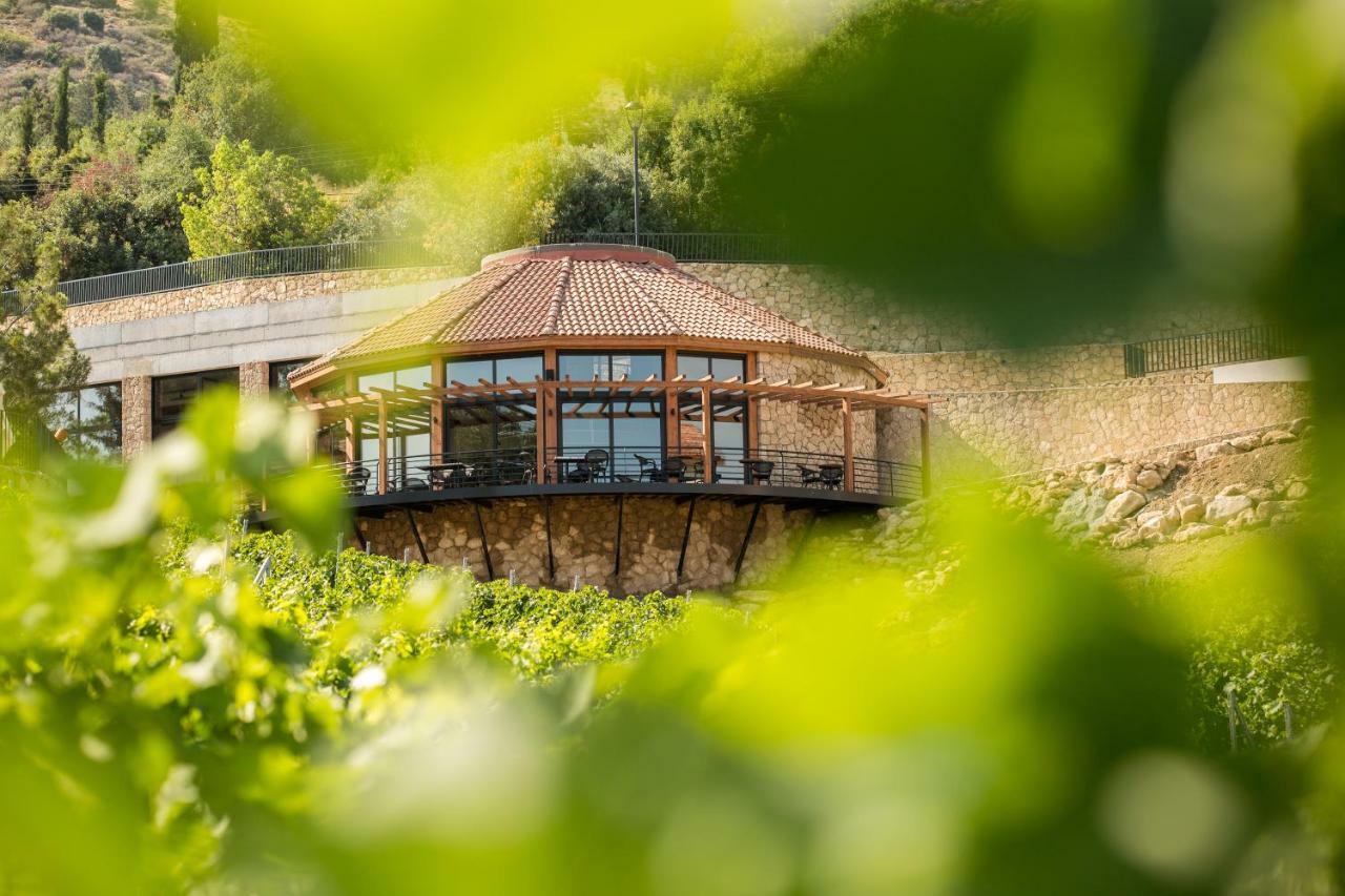 Gillham Vineyard Hotel Templos 외부 사진