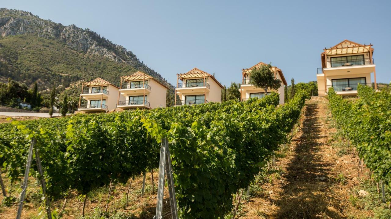 Gillham Vineyard Hotel Templos 외부 사진